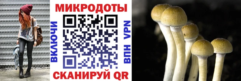 Псилоцибиновые грибы мухоморы  что такое наркотик  ссылка на мегу вход  Монино 